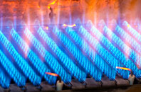 Cwm Celyn gas fired boilers